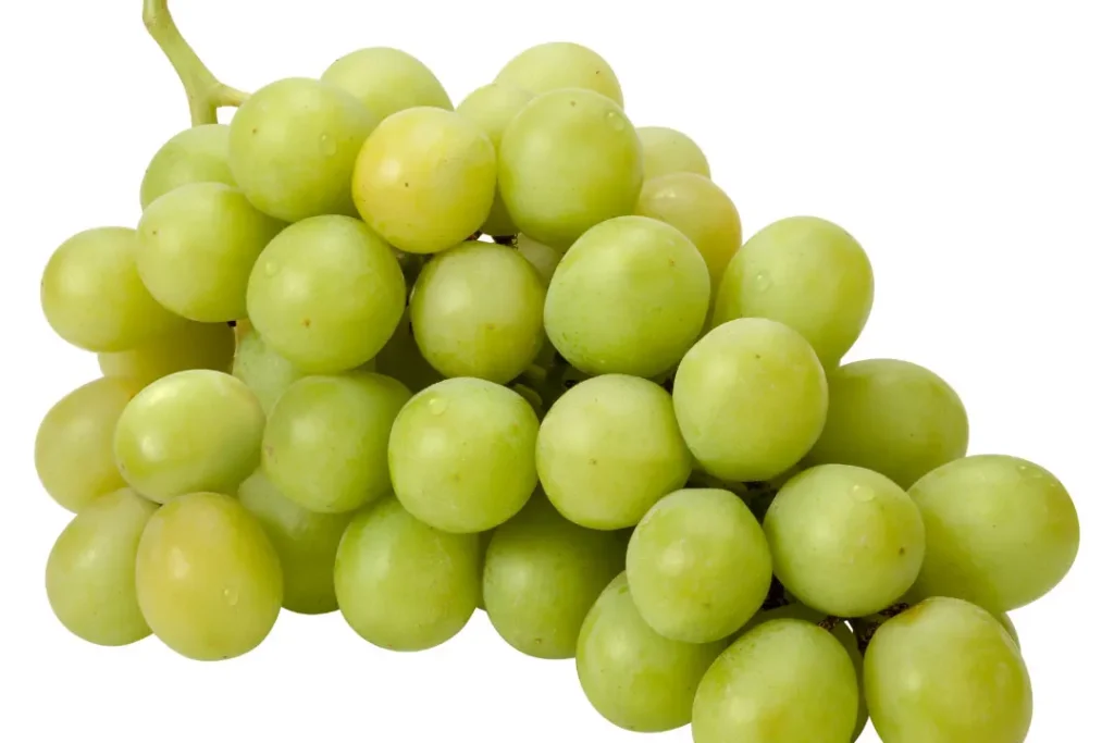 Grapes are good for health. 